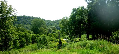 Image result for Kickapoo River WI