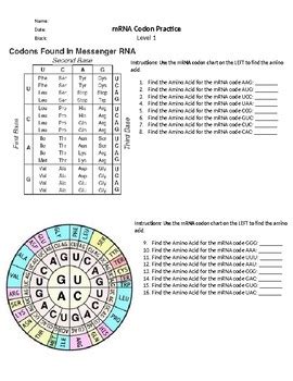 Image result for Codon Chart Practice