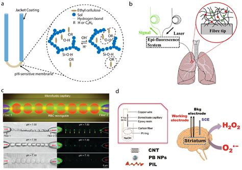 Progress in Probe-Based Sensing Techniques for In Vivo Diagnosis