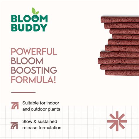 BloomBuddy Rose Fertilizer Sticks | Boosts Flowering & Healthy Growth ...