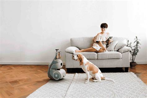 Home Robots 的图像结果