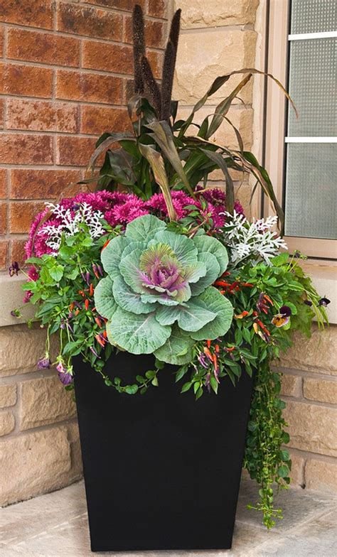 20+ Fall Outdoor Planter Ideas