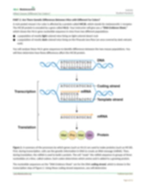 SOLUTION: Activity what causes different fur colors rock pocket mice ...