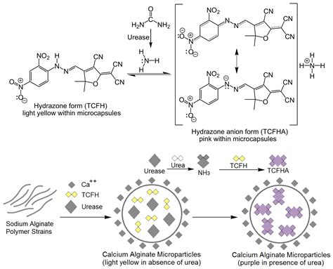 Recent Advances in Cellulose-Based Biosensors for Medical Diagnosis