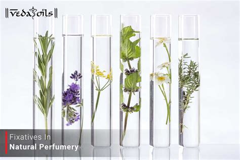 Natural Fixative Perfume - Fixatives and Their Function in Natural ...