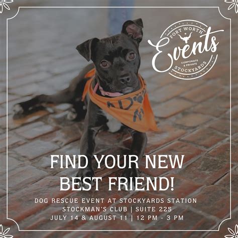 Dog Rescue Event at Stockyards Station, Stockman's Club, Fort Worth, 11 ...