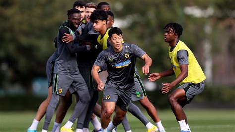 Image result for Wolves Forwards