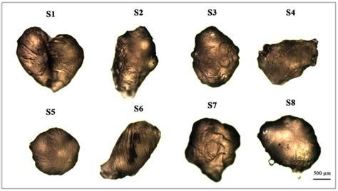 Effect of the Amount of Polysorbate 80 and Oregano Essential Oil on the ...