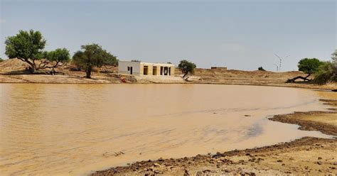 In Thar desert, indigenous systems that help preserve water are fast ...