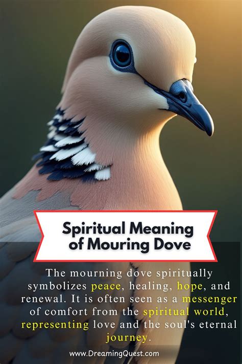 Best 13 Mourning Dove Symbolism & Spiritual Significance! - Artofit