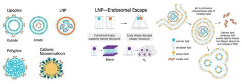 Vaccines | Special Issue : The Past, Present, and Future of mRNA Vaccines