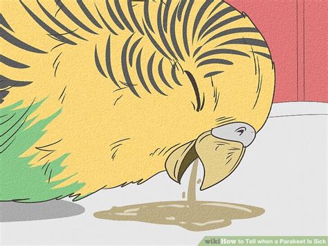 Sick Parakeet 的图像结果