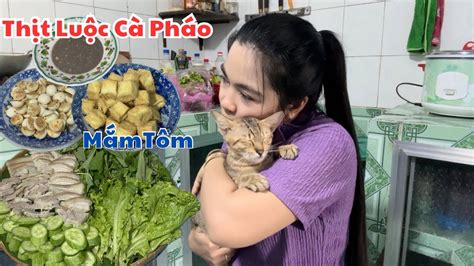 Image result for Toca Database Moduel Connection String