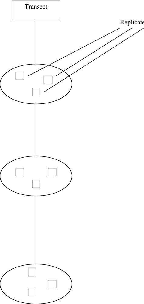 Image result for Transect Sampling