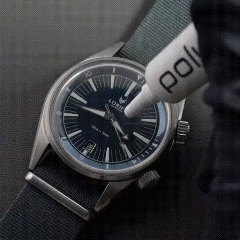 How to Use Polywatch 的图像结果