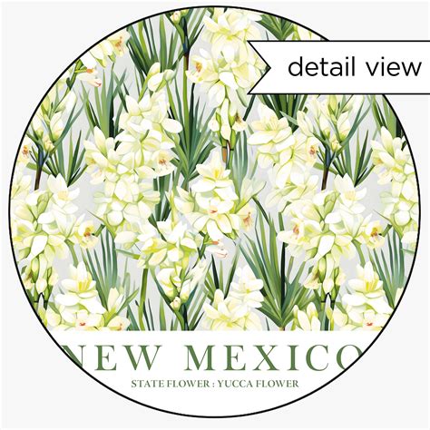 New Mexico State Flower Yucca Facts