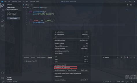 Vscode Python 的图像结果
