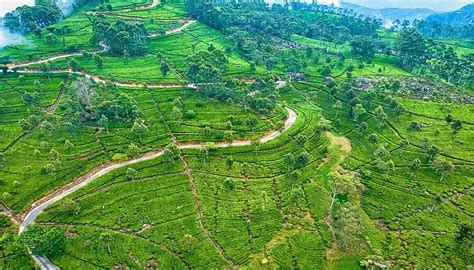 Adisham Hall Is A Monument Narrating The Colonial Tales To Visit In 2026