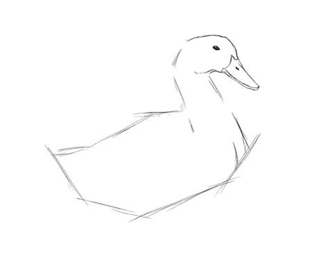 Image result for Drawing a Duck Step by Step