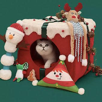 Gift Box Pet Bed – PartyPerfetto