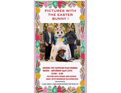 Easter Bunny Pics & Monthly Meet & Greet - Parma PSP, Pet Supplies Plus ...