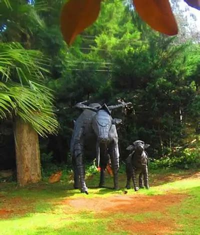 Sims Park Coonoor – Timings, Entry Fee & Ticket Price