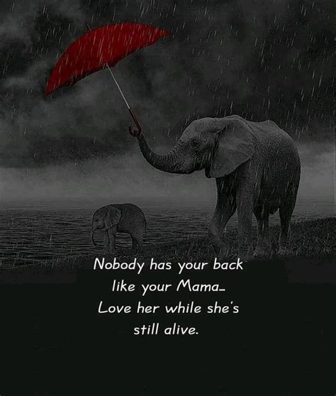 Tariq Masood Nasir posted on LinkedIn