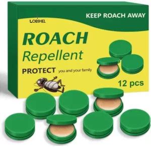 LORSHEL Cockroach Killer Gel-Roach Repellent Gel for Basement NEW - Buy ...