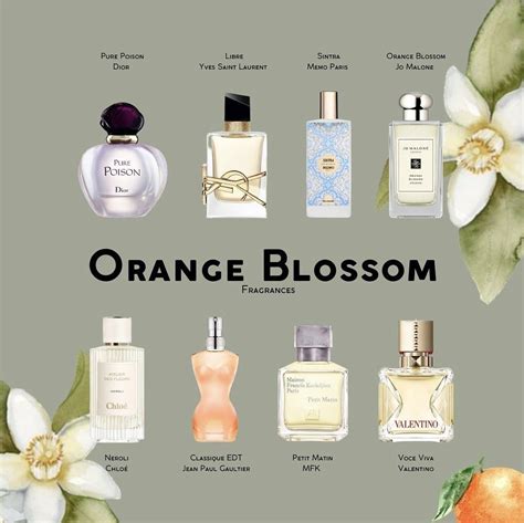 Pin by Ксения Аниськина on Makeup room. | Perfume lover, Fragrances perfume woman, Orange ... - what is the smell of amber