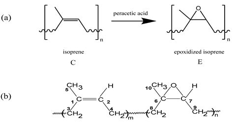 A Structural Study of Epoxidized Natural Rubber (ENR-50) and Its Cyclic ...