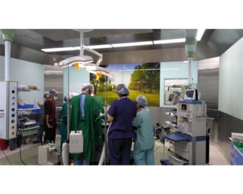The infrastructure of the Plastic Surgery Department