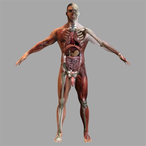 Image result for Anatomy of a Function in JavaScript