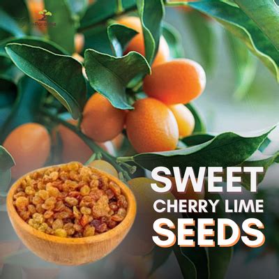 Fruit Plants Seeds – GreenParadiseLive