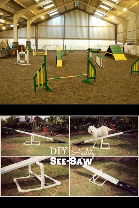 Image result for Agility Training for Dogs