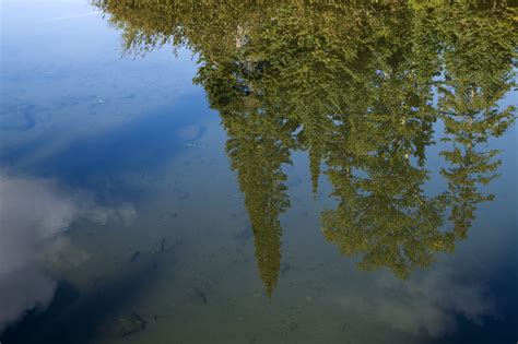 Isle Royale Reflections from the Upper Peninsula Poet Laureate - Isle ...