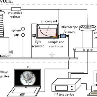 Experiment System 的图像结果