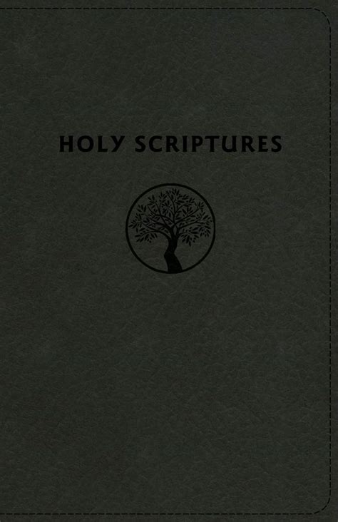 Buy Holy Bible: Tree of Life Version, Black, Leathertouch, Giant Print ...