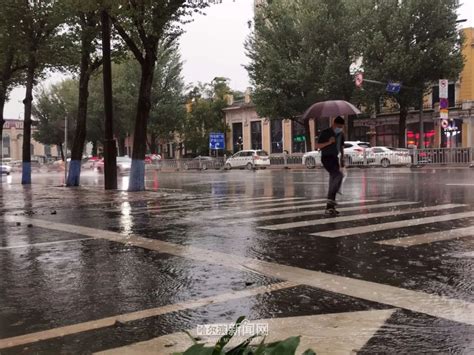 小区鸟屎雨淋头居民只能打伞最新素材
