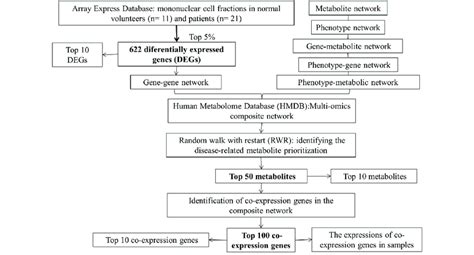 Flowchart Algorithm Camelia 的图像结果