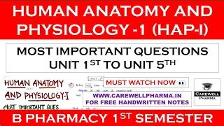 Human Anatomy And Physiology 1 - 1st Semester - B Pharmacy Important ...