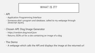 Image result for API Demo HTML