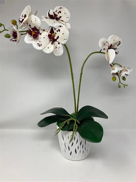 Artificial Orchid Plant Marks And Spencer at Lorraine Flanders blog