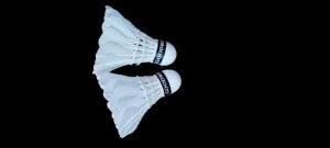 whiteking SHATALE FOR KANNI FIRST QUALITY Feather Shuttle - White - Buy ...