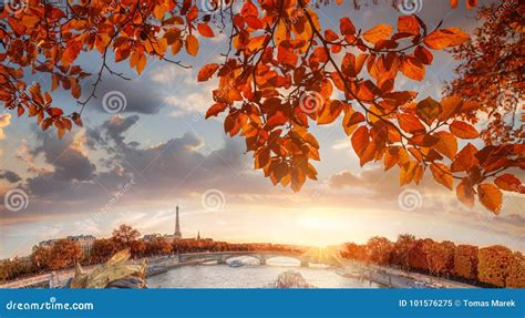 Image result for Depth First Search Solution Step by Step with Image Example