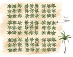 Patterns Around Us Important Notes - Class 4 Mathematics - FREE PDF ...