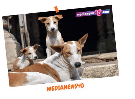 In the media – HUFT foundation