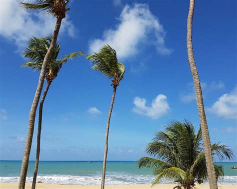 CAJUEIRO BEACH (2026) All You Need to Know BEFORE You Go (with Photos ...