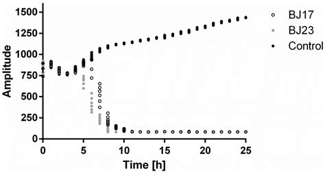 Escherichia coli Affects Expression of Circadian Clock Genes in Human ...