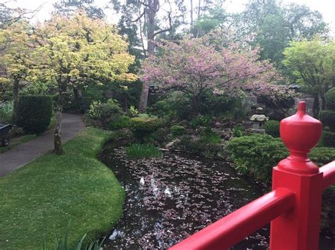 Bronze & Boru (Limerick) - All You Need to Know BEFORE You Go