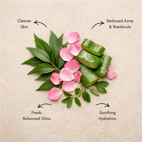 Anti-Acne -Face Care Combo – Vyom India Organics
